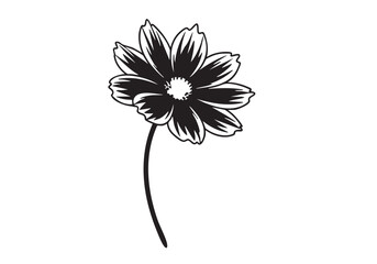 Elegant Black and White Cosmos Flower Illustration on White Background A Botanical Design Element for Creative Projects