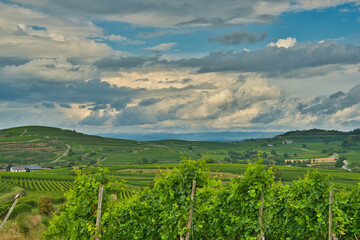 Landschaft bei Burkheim im Kaiserstuhl