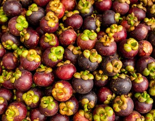 Fresh Mangosteen &ndash; The Queen of Tropical Fruits