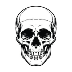 Detailed hand drawn human skull front view black and white