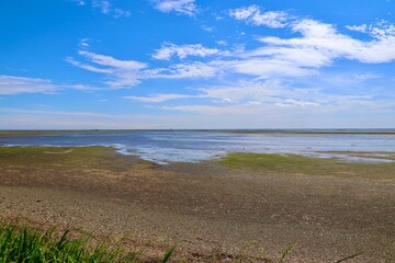 草原・湿地帯・野付半島（北海道・別海町）