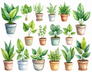 Obraz premium Green Houseplants in Pots Watercolor Collection