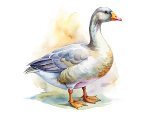 watercolor goose vector illustration isolated on white background