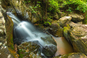 Water from a stream in the forest falls on the rocks.