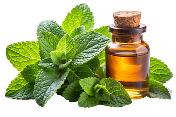 Aromatic Mint Leaves with Peppermint Essential Oil on Rustic Wooden Surface, isolated on white. Generative AI