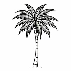 Fototapeta premium palm tree silhouette vector