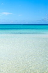 透明度抜群の海