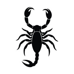 scorpion isolated on white background