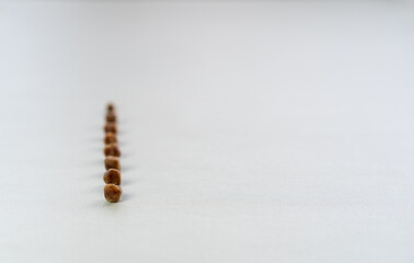 8 brown gallbladder lumps or pile gallstones lined up single row from cholesterol or bad food on white gray table for medical science background isolated with copy space