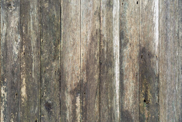 Naklejka premium empty nature old white wooden table or dirty stain black wood wall by top view and ancient dark brown floor with nails and fungus to green lichen for board background and texture or wallpaper to frame