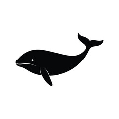 vector illustration of a dolphin
