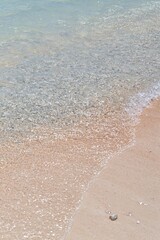 白い砂浜とサンゴ