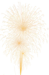 Soft golden fireworks burst in the sky with delicate spark trails. Elegant and festive celebration element, isolated on transparent background. Subtle and graceful firework display.