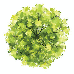 Blooming Tree Top View Vector Illustration