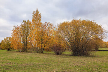 Colorful autumn landscape with trees showing off bright foliage in a park