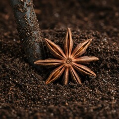 A close up of star anise on dark soil next to a gardening tool handle in soft focus view