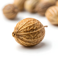 A small, round, dried coriander seed with a citrusy, warm flavor, used whole