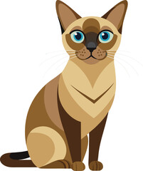 Burmese cat