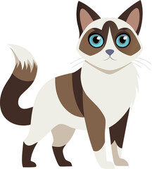 Snowshoe cat