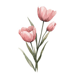 Fototapeta premium Delicate Watercolor Floral Clipart Collection