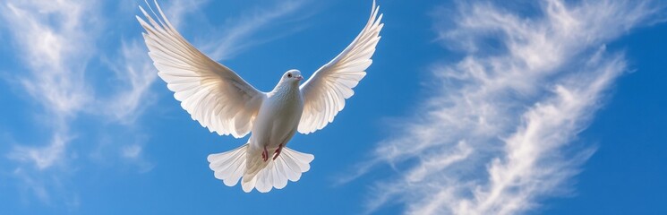 Obraz premium A stunning white dove in mid-flight captures the essence of freedom and peace against a backdrop of a vibrant blue sky and fluffy clouds.