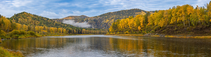 Autumn bright panoramic landscape with golden birch and green pine trees on Mana riverbank and colorful slopes of the mountains under blue sky. Siberia autumn landscape in Krasnoyarsk, Russia