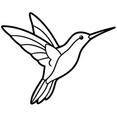 Hummingbird Silhouette Vector Outline