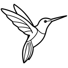 Hummingbird Silhouette Vector Outline