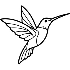 Hummingbird Silhouette Vector Outline
