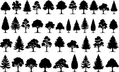 Tree Silhouettes, Forest Shapes, Pine Trees, Oak 
