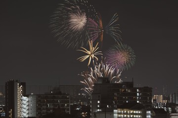 夜空に咲く大輪の花火
