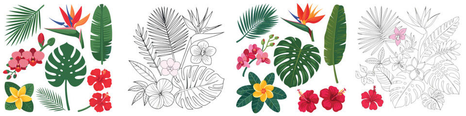 Tropical Flowers and Leaves Illustration Featuring Color and Outline Versions of Hibiscus, Orchids, and Monstera