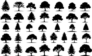 Tree Silhouettes, Forest Shapes, Pine Trees, vector bundle