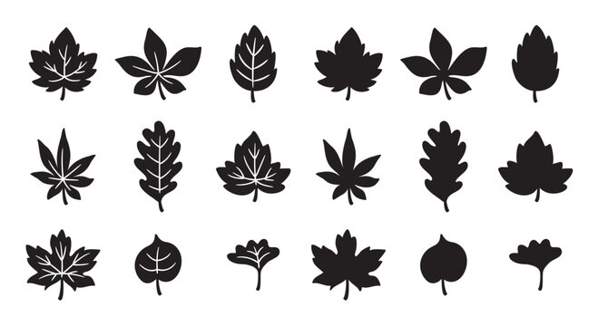 Fall maple leaves silhouette vector illustration set.