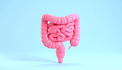 Pink cartoonish digestive system