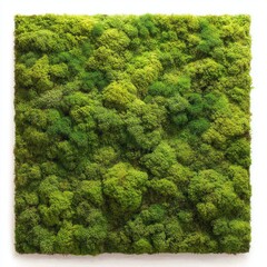 Naklejka premium Square moss wall art