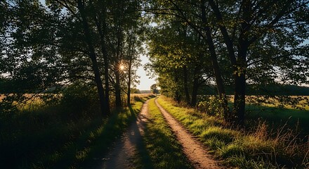 Fototapeta premium Idyllic Countryside Path at Sunset Through Forest Scenery Landscape