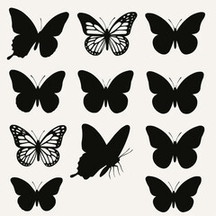 collection of butterflies