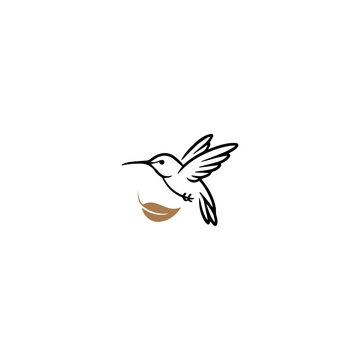 Bird logo , bird, animal, vector, hummingbird, illustration, nature, flying, wing, cartoon, birds, wild, fly, wildlife, design, art, flower, silhouette, beak, stork, sky, baby, flight, feather, colibr