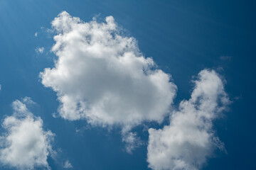 Obraz premium 夏雲と青空 長野県白馬村