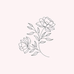 Hand drawn flower, flower line art, flower line drawing