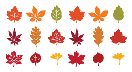 Autumn maple leaves silhouette shape in red, orange, and yellow vector illustration.