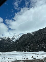 snow covered mountains