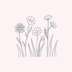 Hand drawn flower, flower line art, flower line drawing