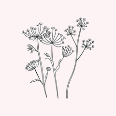 Hand drawn flower, flower line art, flower line drawing