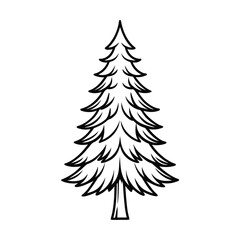 Fototapeta premium pine forest tree vector on white background