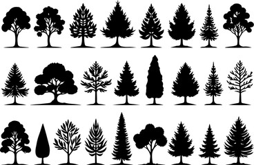 Obraz premium Tree Silhouettes, Forest Shapes, Pine Trees,