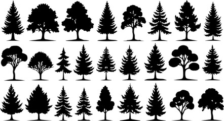 Fototapeta premium Tree Silhouettes, Forest Shapes, Pine Trees,