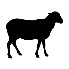  sheep silhouette vector icon on white back round