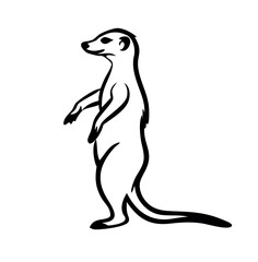 a curious meerkat standing tall against silhouette vector icon on white back round.